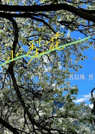 小梨花潮剧团简介
